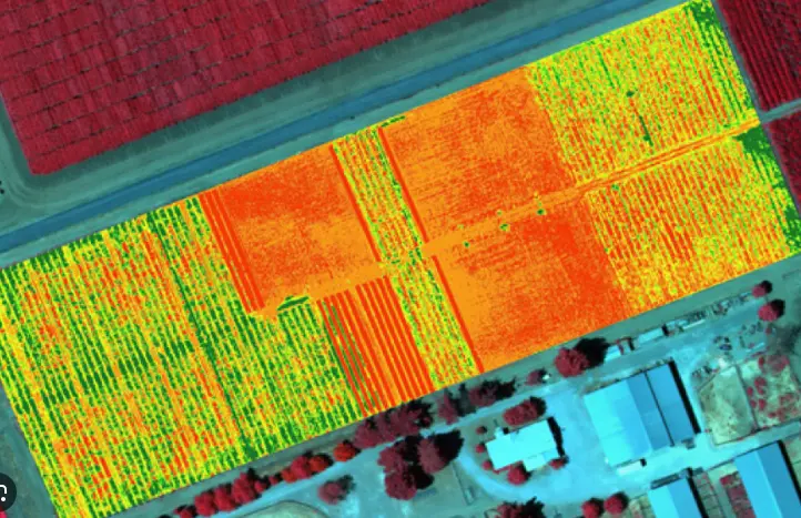 A top-down thermal image of orange and yellow fields